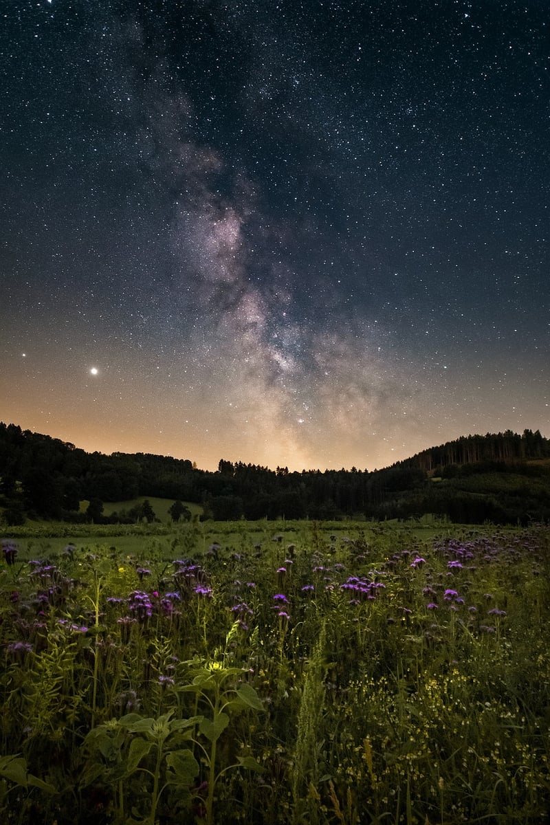 Galactic Embellishments